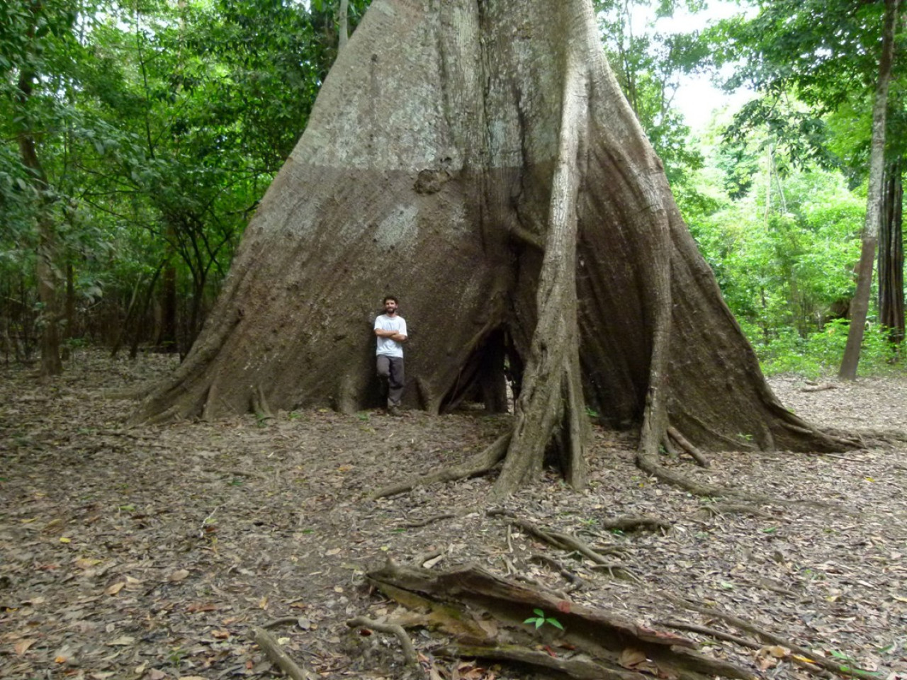 Preocupa el cambio climático en la Amazonia. Fuente: EFE