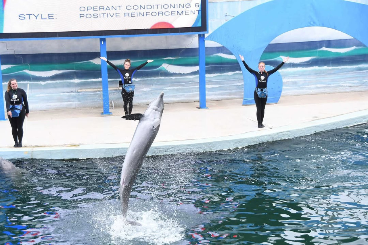 Un reconocido parque acuático va a la quiebra. Foto: Instagram gulfworldpcb.