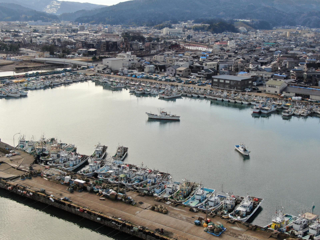 Terremoto en Japón. Foto: EFE.
