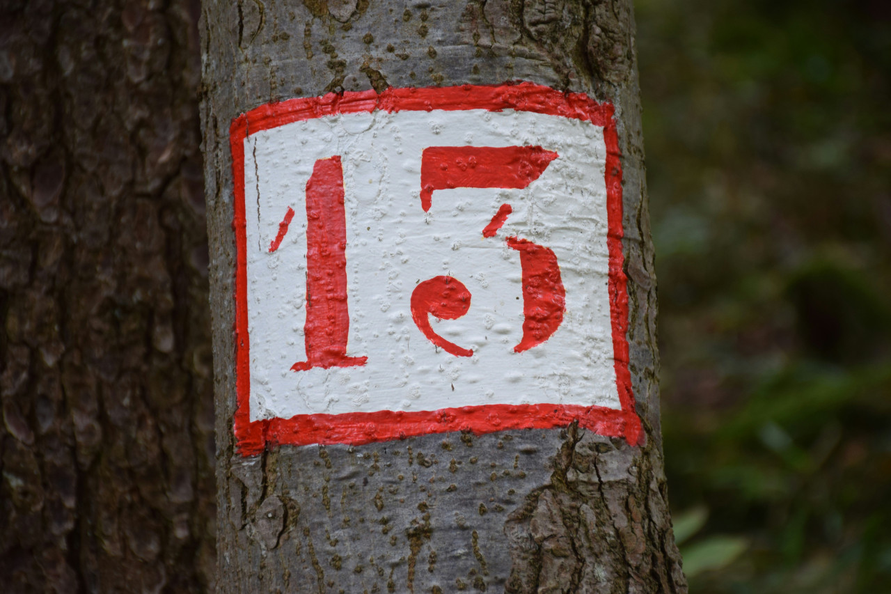 Número 13, martes 13. Foto: Unsplash.