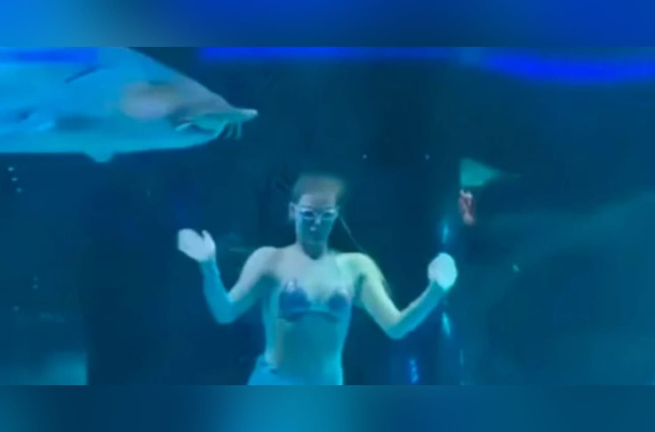 Joven disfrazada de sirena es atacada por un pez gigante en un acuario en China. Foto: X / @actualidadmundo.