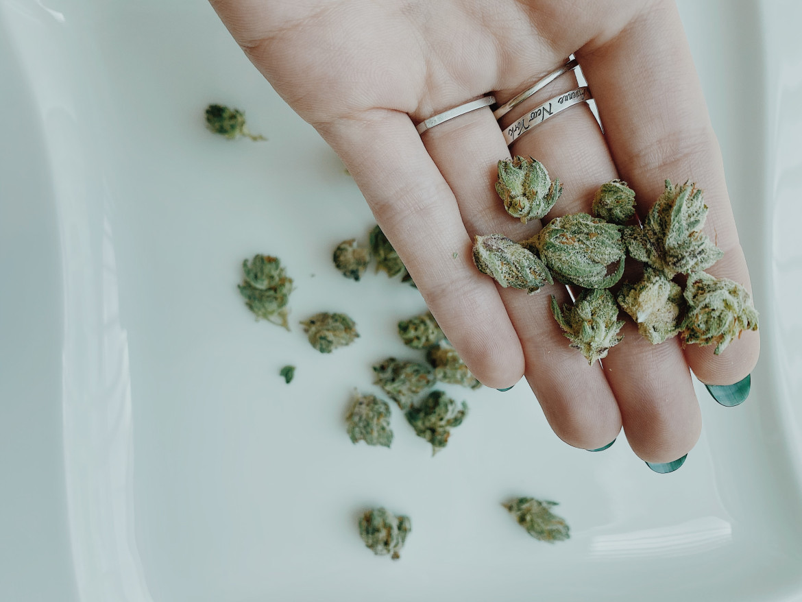 Quienes consumen cannabis tienen el doble de posibilidades de morir por enfermedades cardiovasculares. Foto: Unsplash.