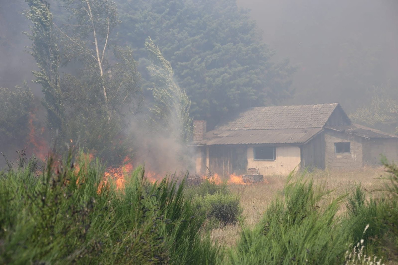 Incendio en Epuyén. Foto: X/ladebkim