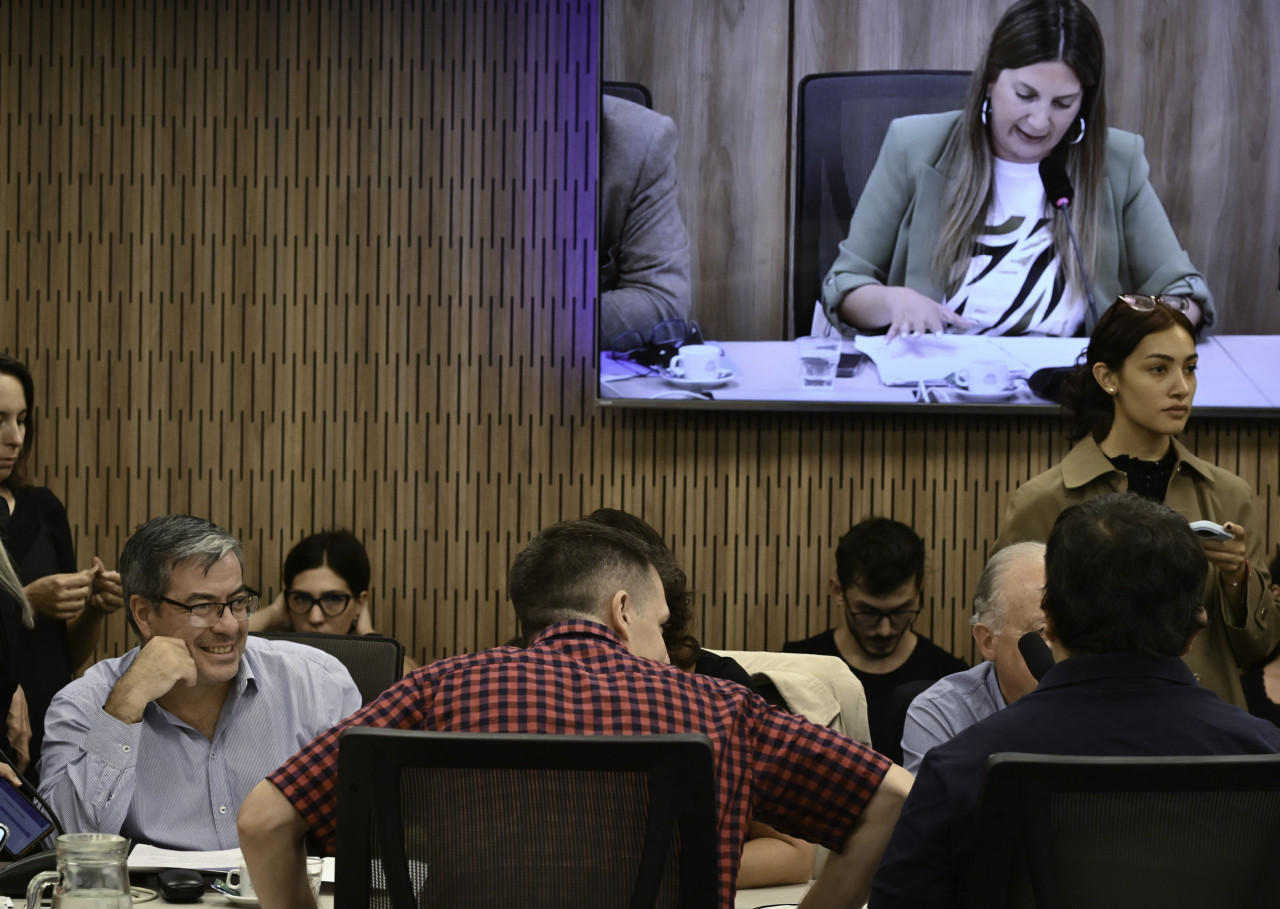 Debate en comisión del proyecto Ficha Limpia. Foto: NA.