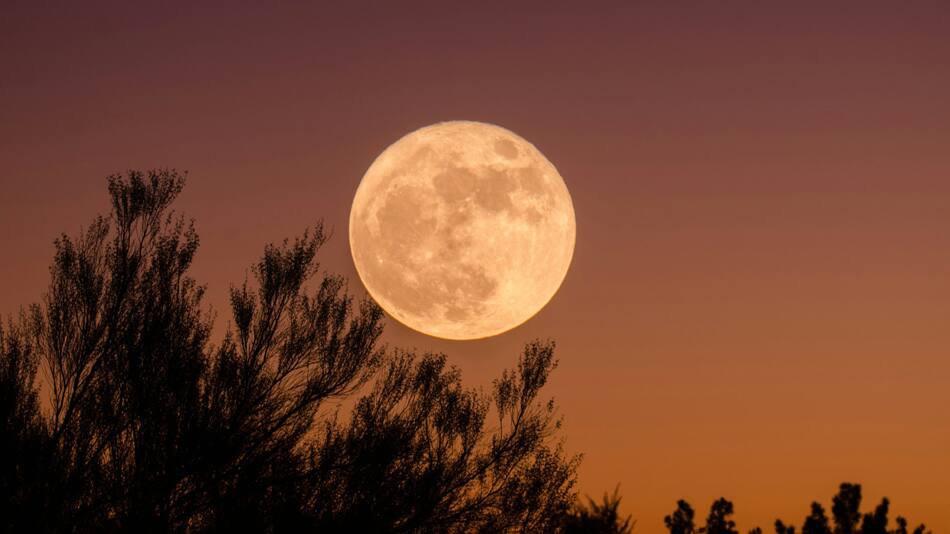 Luna en Cáncer: los signos más afectados por la ola emocional de la semana. Foto: Unsplash.