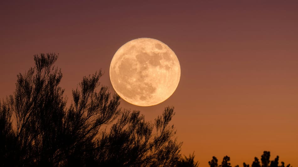 Luna Llena de mayo. Foto: Unsplash.