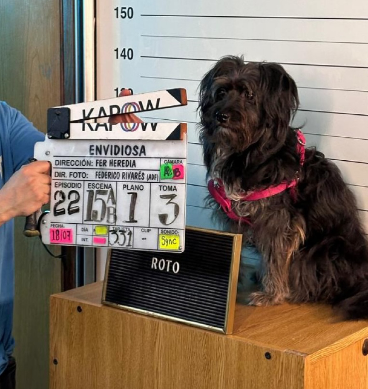 Quién es Uma, la perrita que trabaja como Roto en "Envidiosa". Foto: Instagram/ohmydogmag