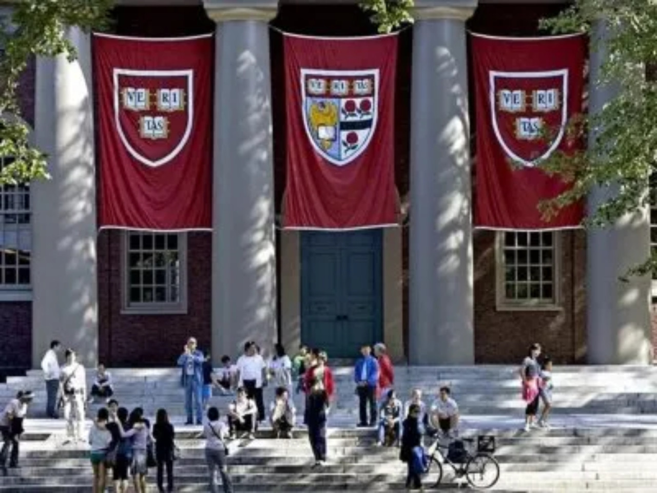 Harvard. Fuente: X