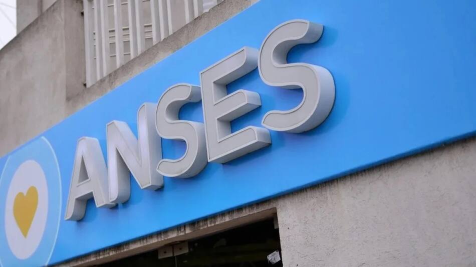 ANSES. Foto: NA
