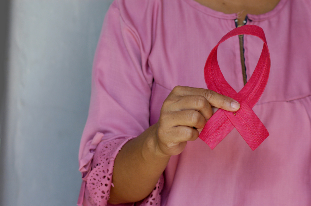 Buscan contrarrestar el cáncer de mama y gástrico antes de que aparezca. Foto: Unsplash.